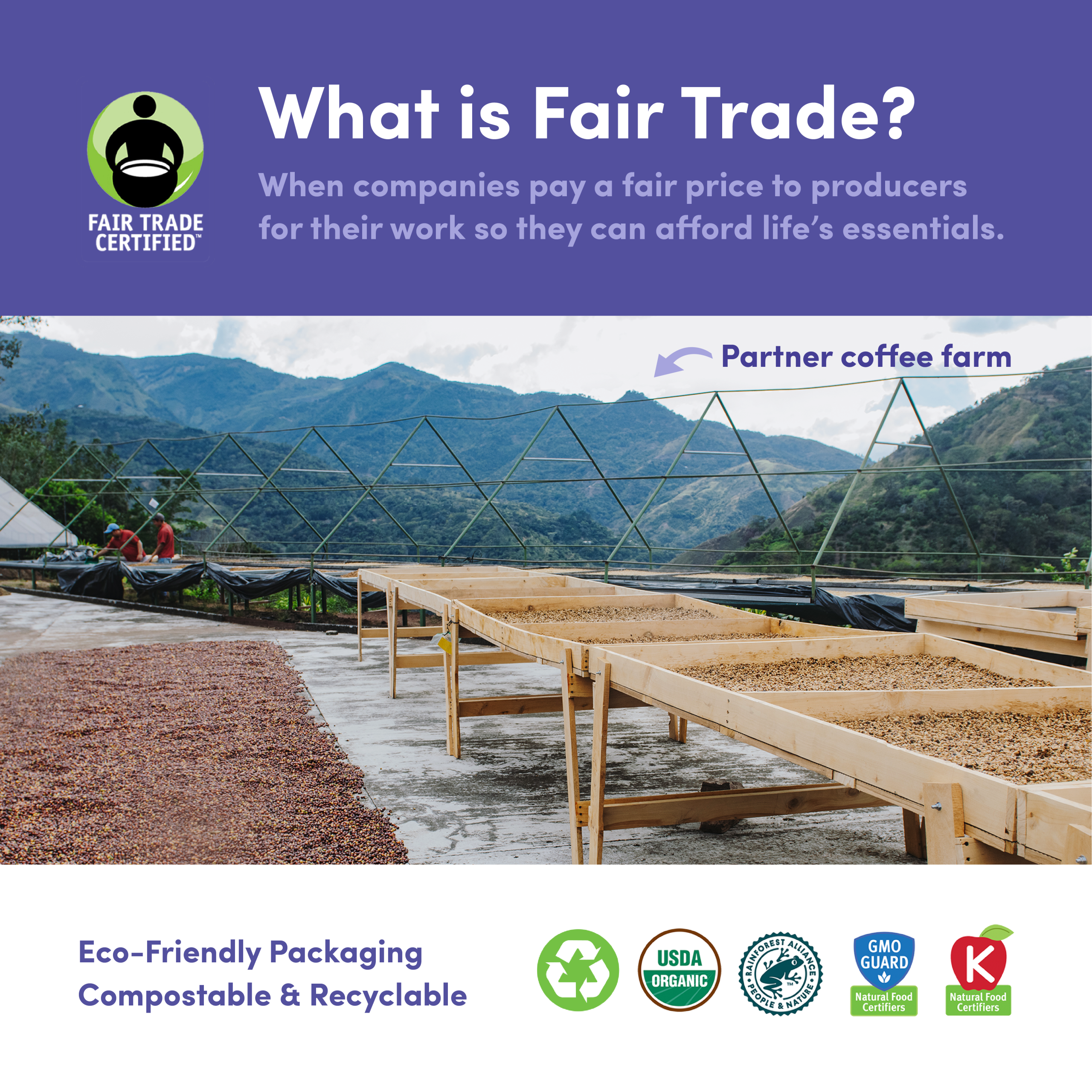 Downtown Blend. Organic & Fair Trade - Image 4